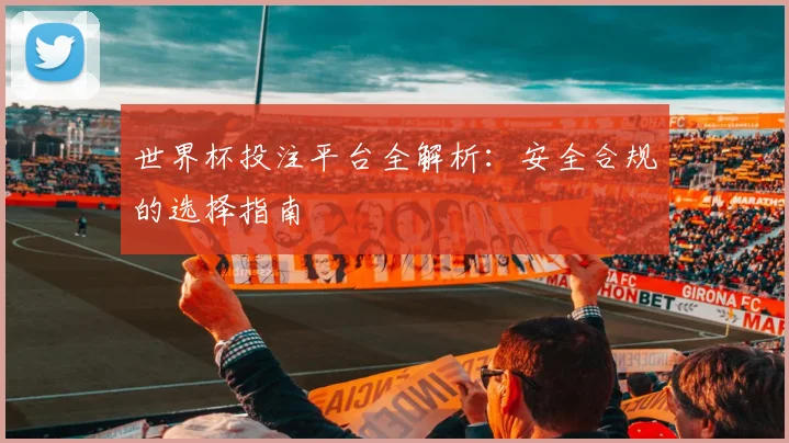 世界杯投注平台全解析：安全合规的选择指南