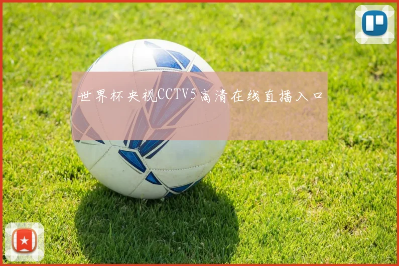 世界杯央视CCTV5高清在线直播入口
