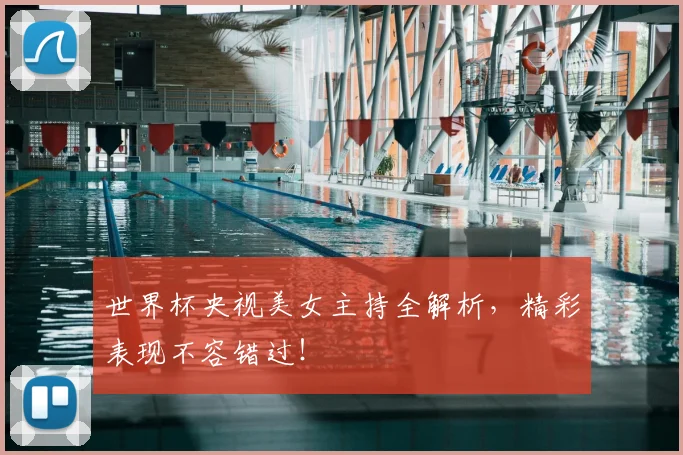世界杯央视美女主持全解析,精彩表现不容错过!