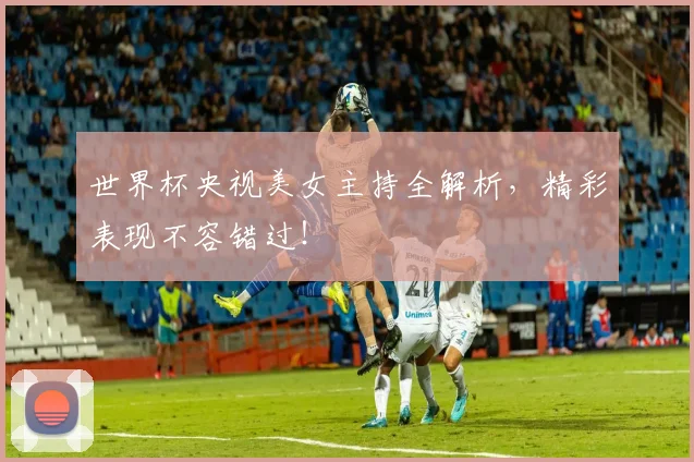 世界杯央视美女主持全解析,精彩表现不容错过!