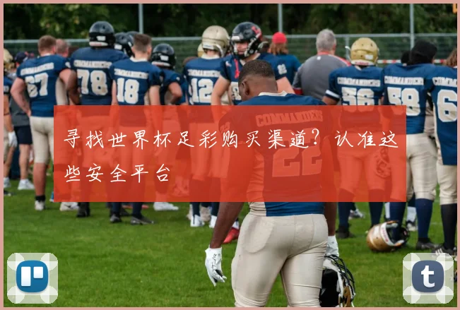 寻找世界杯足彩购买渠道?认准这些安全平台