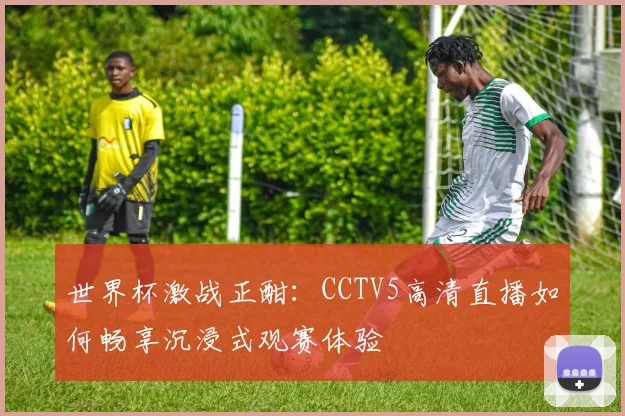 世界杯激战正酣：CCTV5高清直播如何畅享沉浸式观赛体验