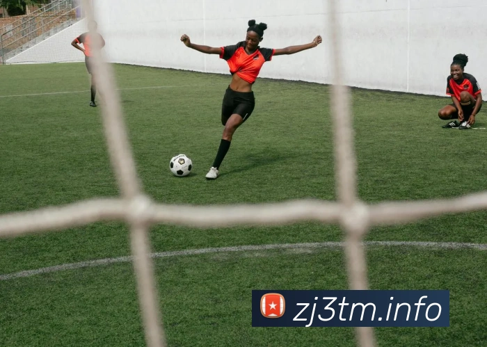 App Interface Preview