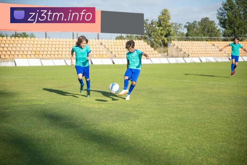 九游官方登录入口APP 封面图